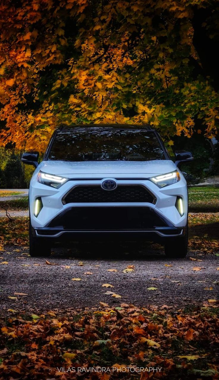 toyota Toyota RAV4 Hybrid - Imagem 4